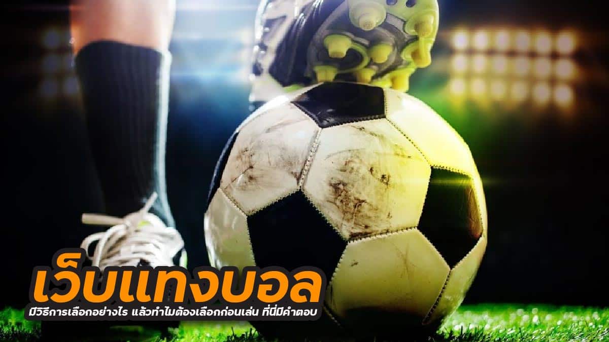 เว็บแทงบอล