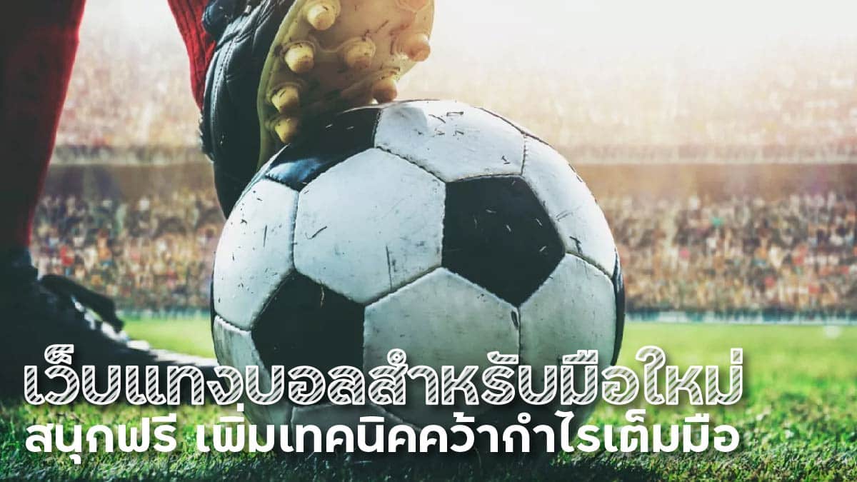 เว็บแทงบอลสำหรับมือใหม่
