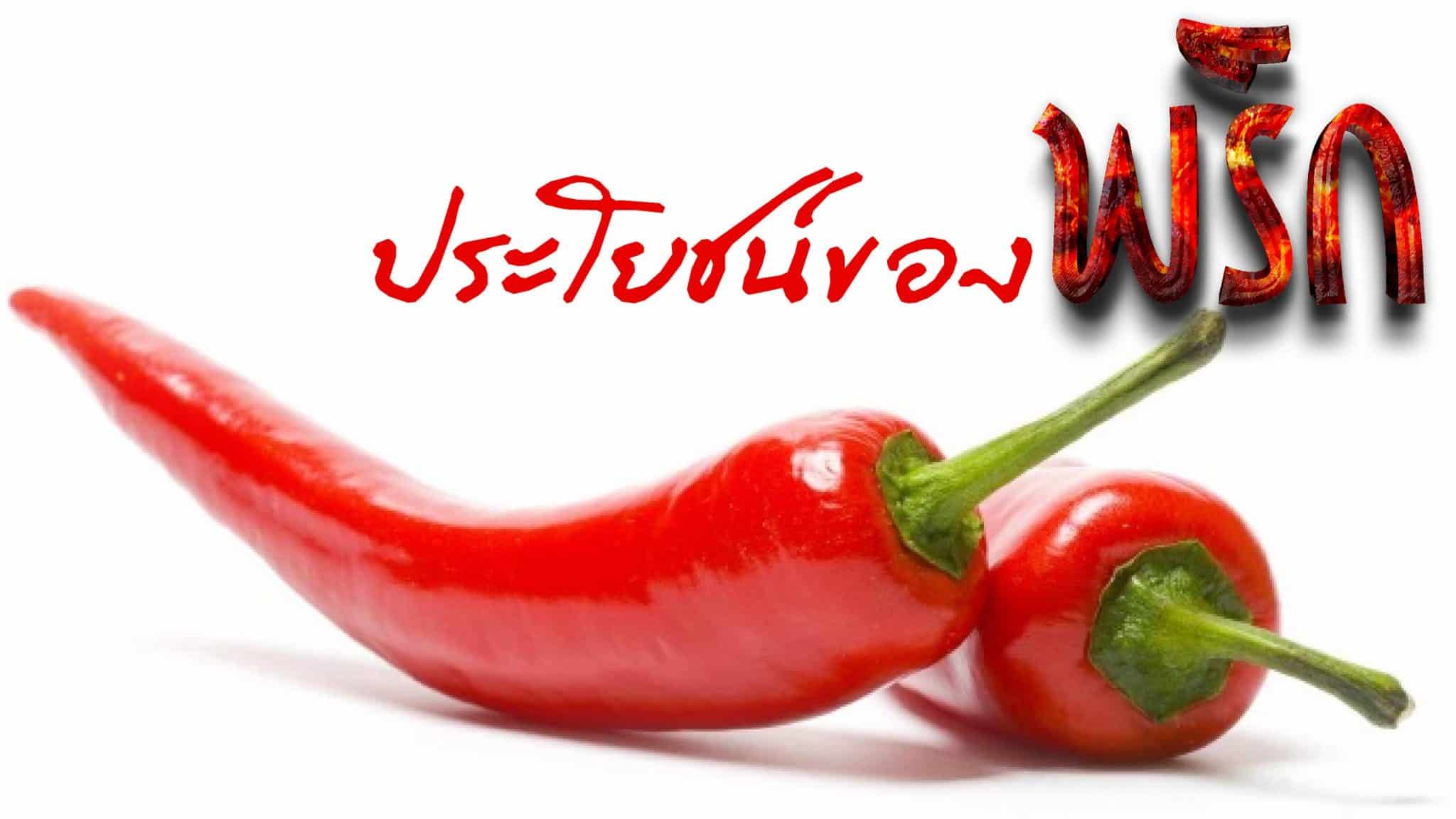 ประโยชน์ของพริก