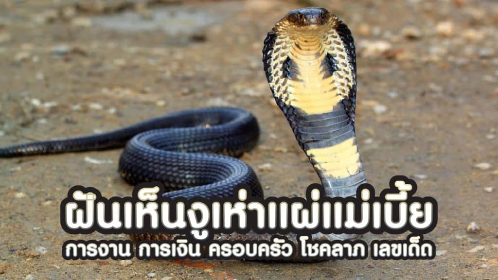 ฝันเห็นงูเห่าแผ่แม่เบี้ย
