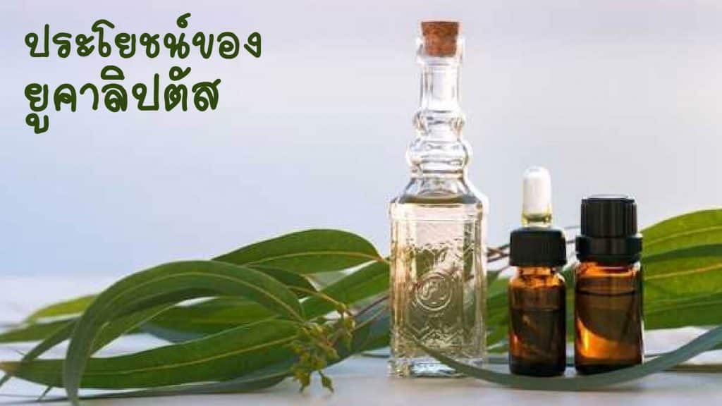 ประโยชน์ของยูคาลิปตัส