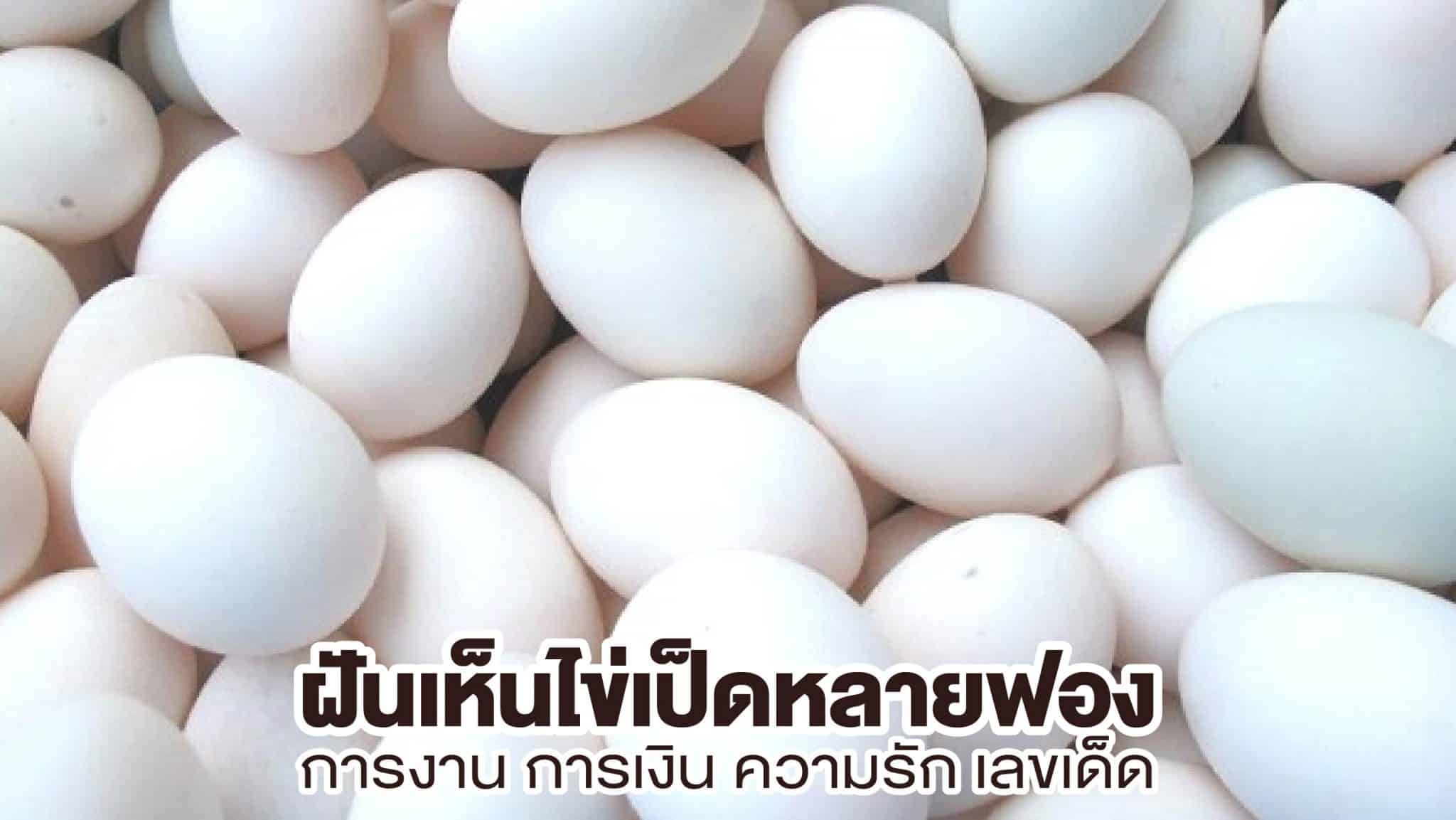 ฝันเห็นไข่เป็ดหลายฟอง