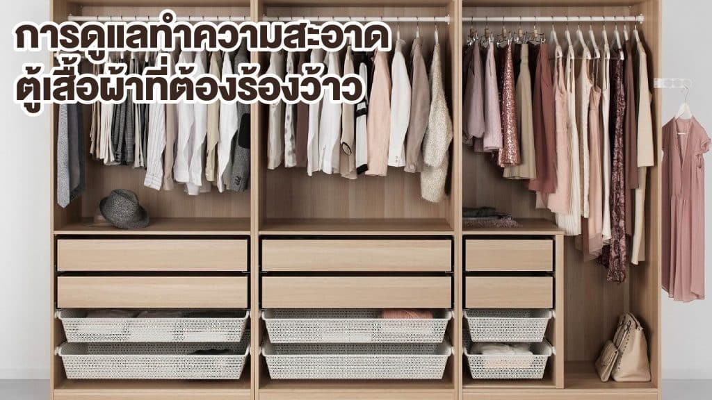 เชื้อราในตู้เสื้อผ้า