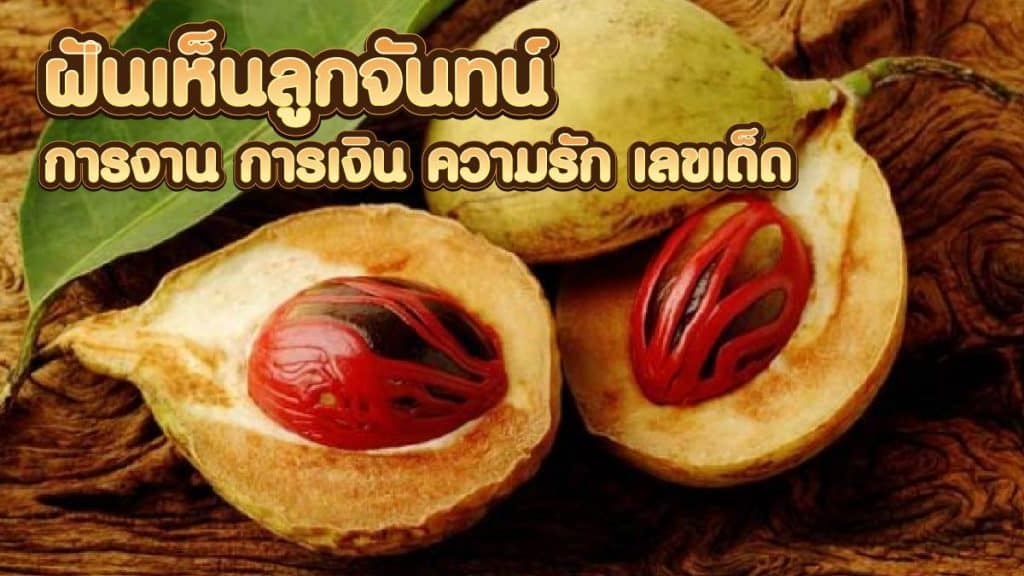 ฝันเห็นลูกจันทน์