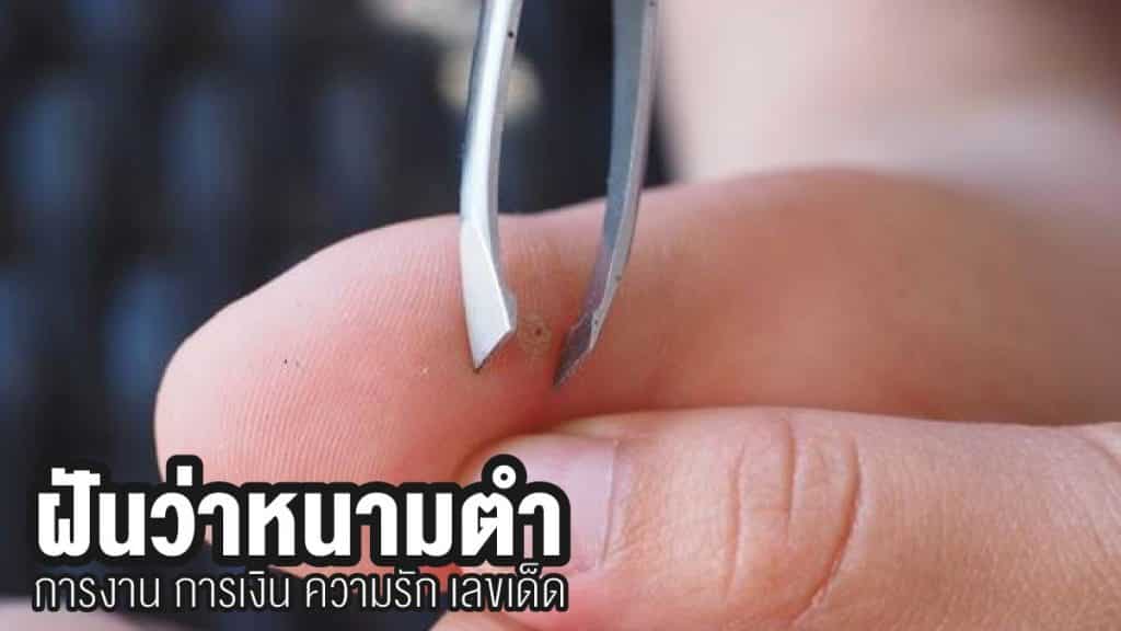 ฝันว่าหนามตำ