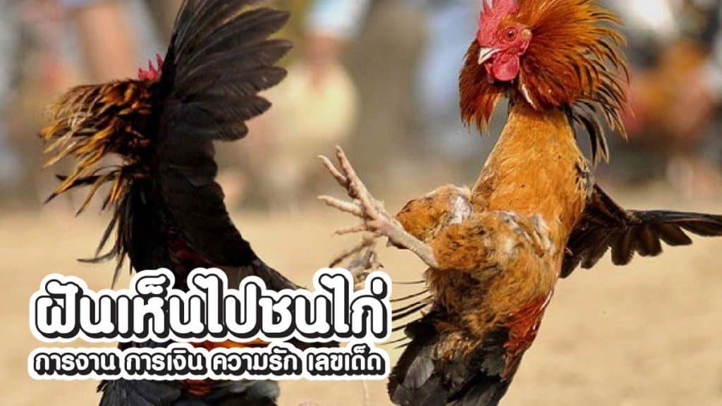 ฝันเห็นไปชนไก่