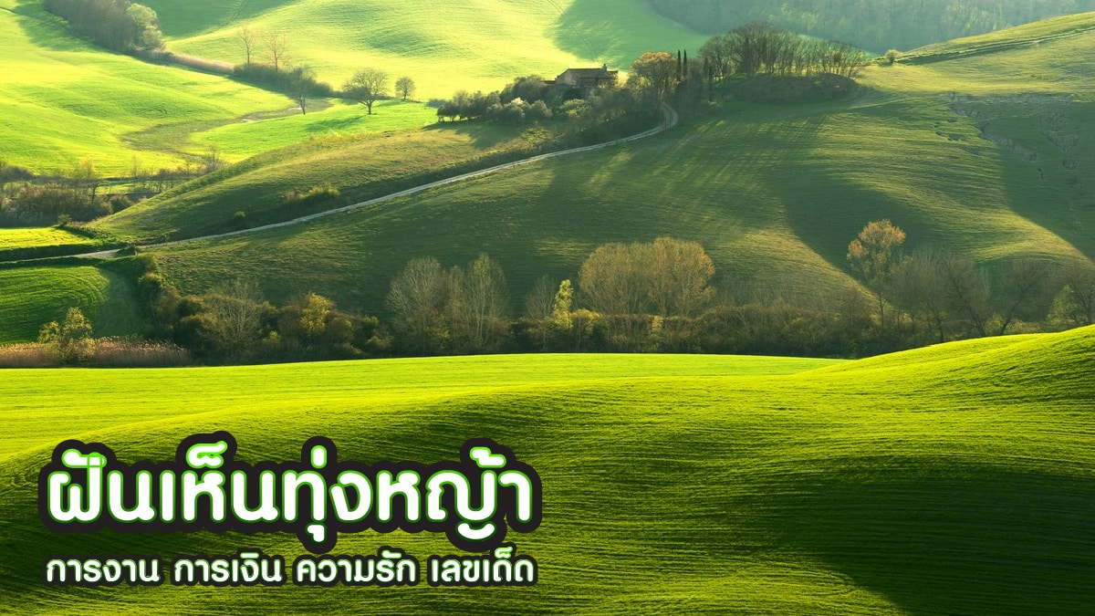 ฝันเห็นทุ่งหญ้า