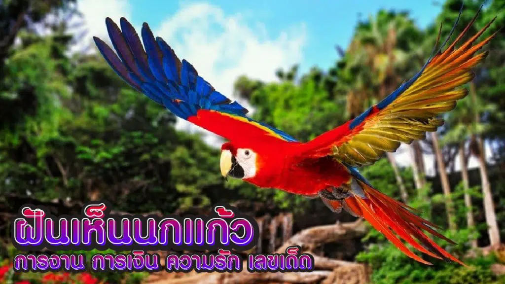 ฝันเห็นนกแก้ว