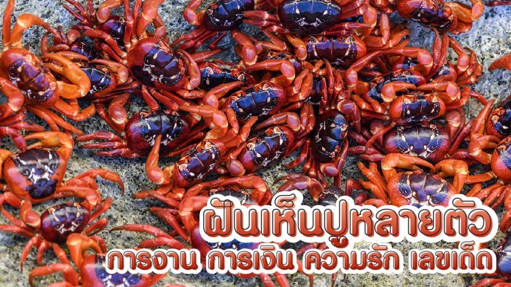 ฝันเห็นปูหลายตัว