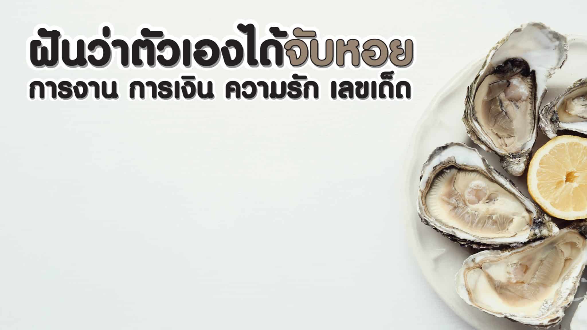ฝันว่าตัวเองได้จับหอย