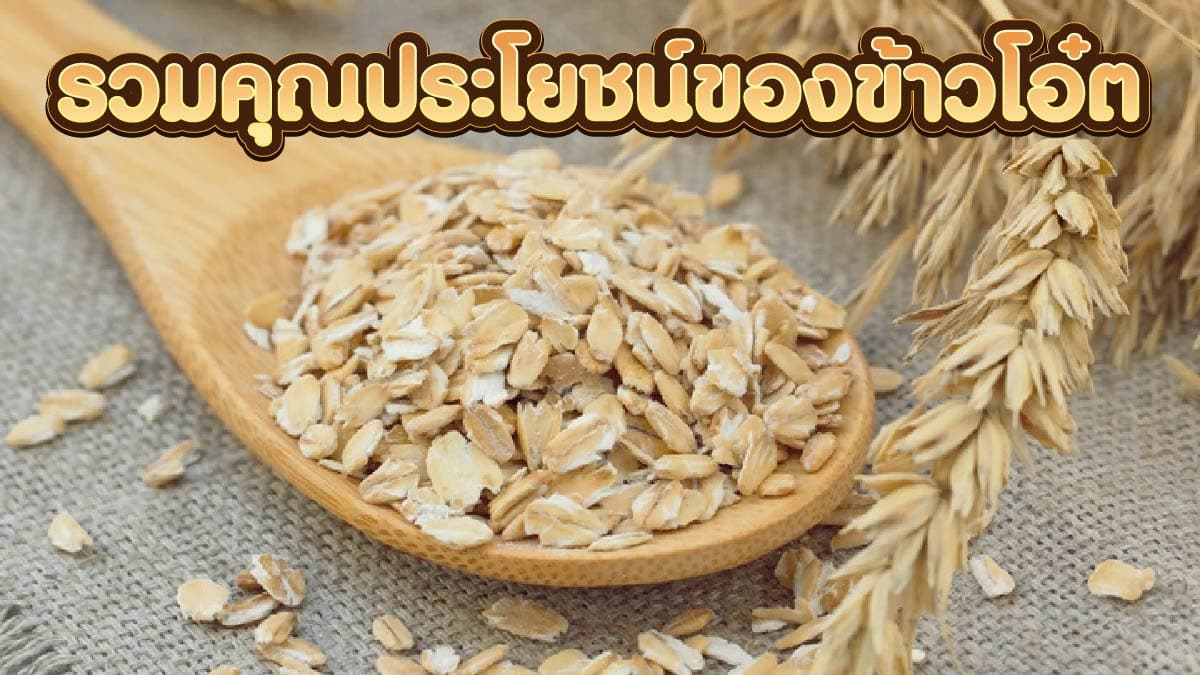ประโยชน์ของข้าวโอ๊ต