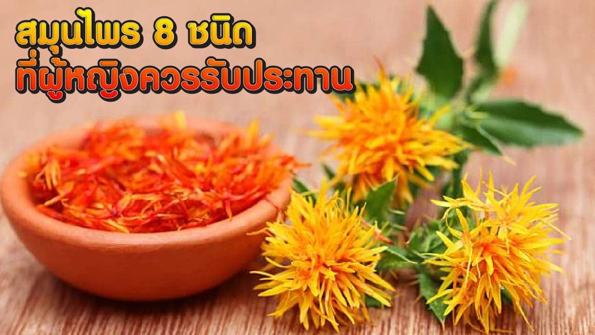 สมุนไพรสำหรับผู้หญิง