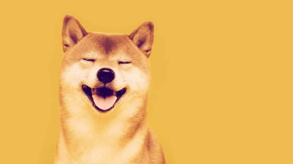Shiba Coin คืออะไร