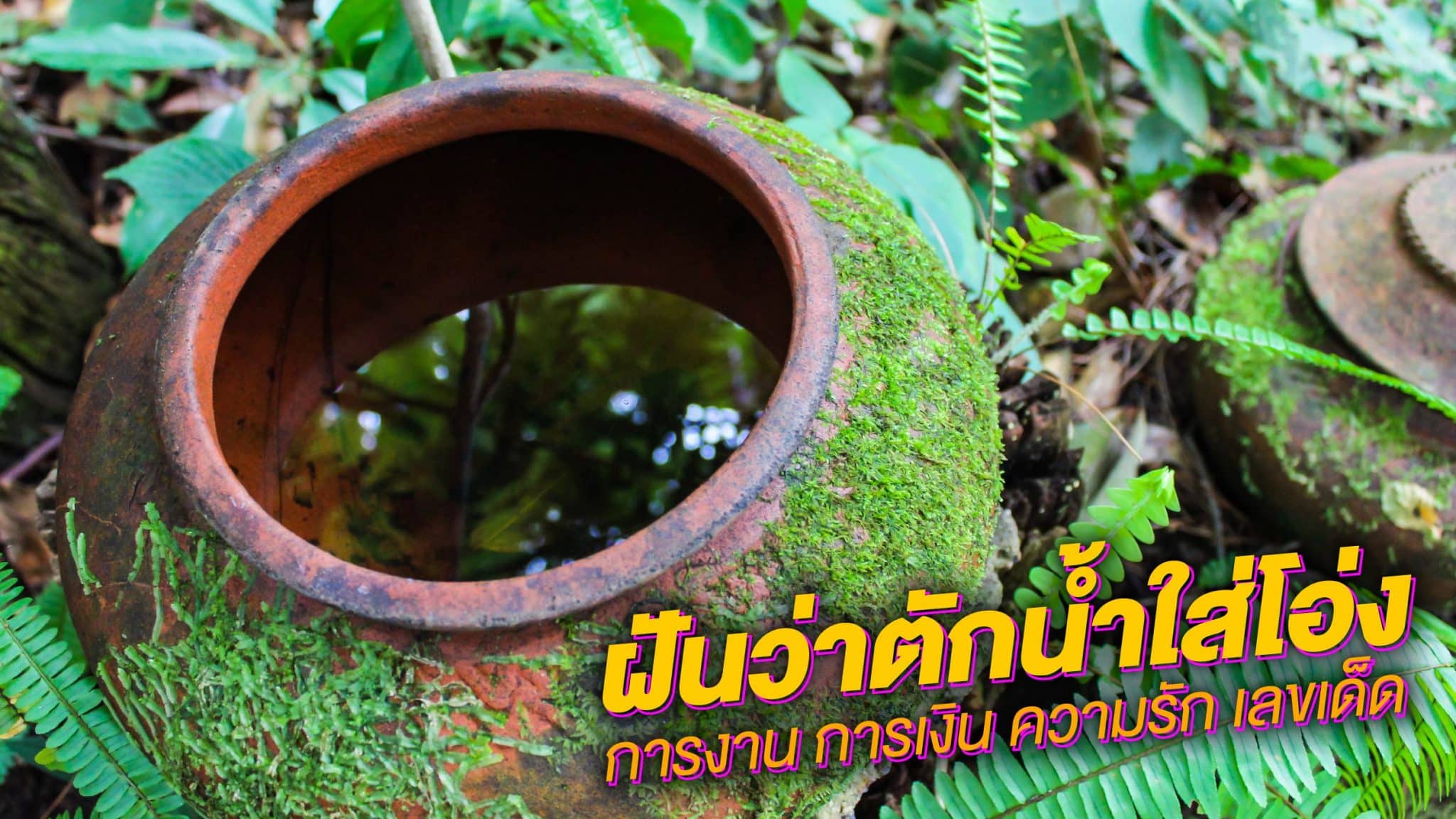 ฝันว่าตักน้ำใส่โอ่ง