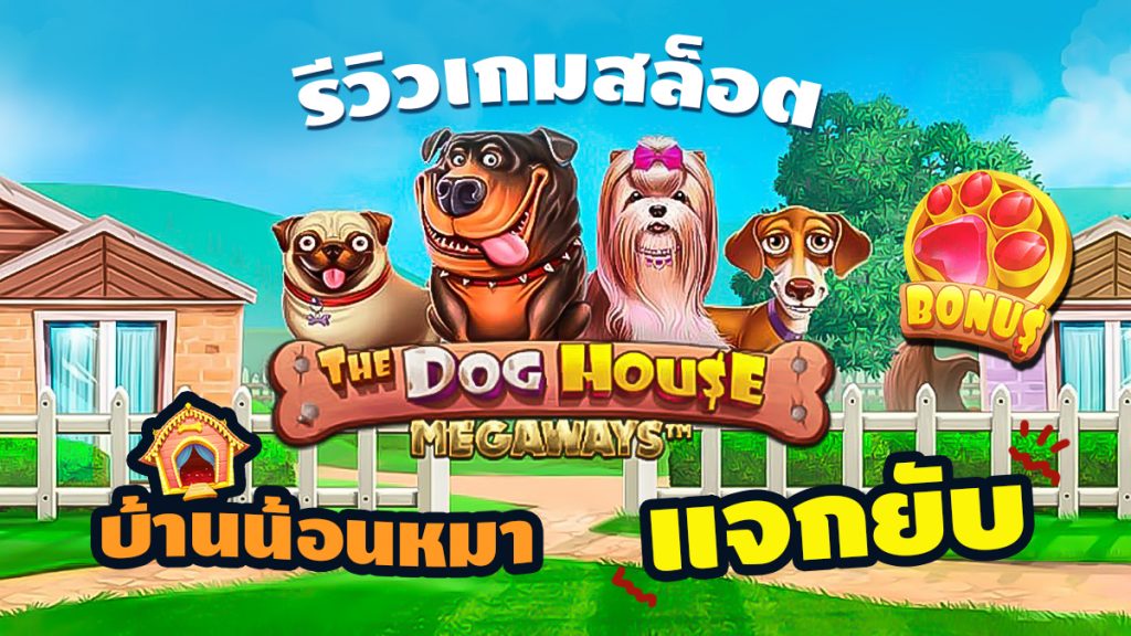 รีวิว The Dog House Megaways