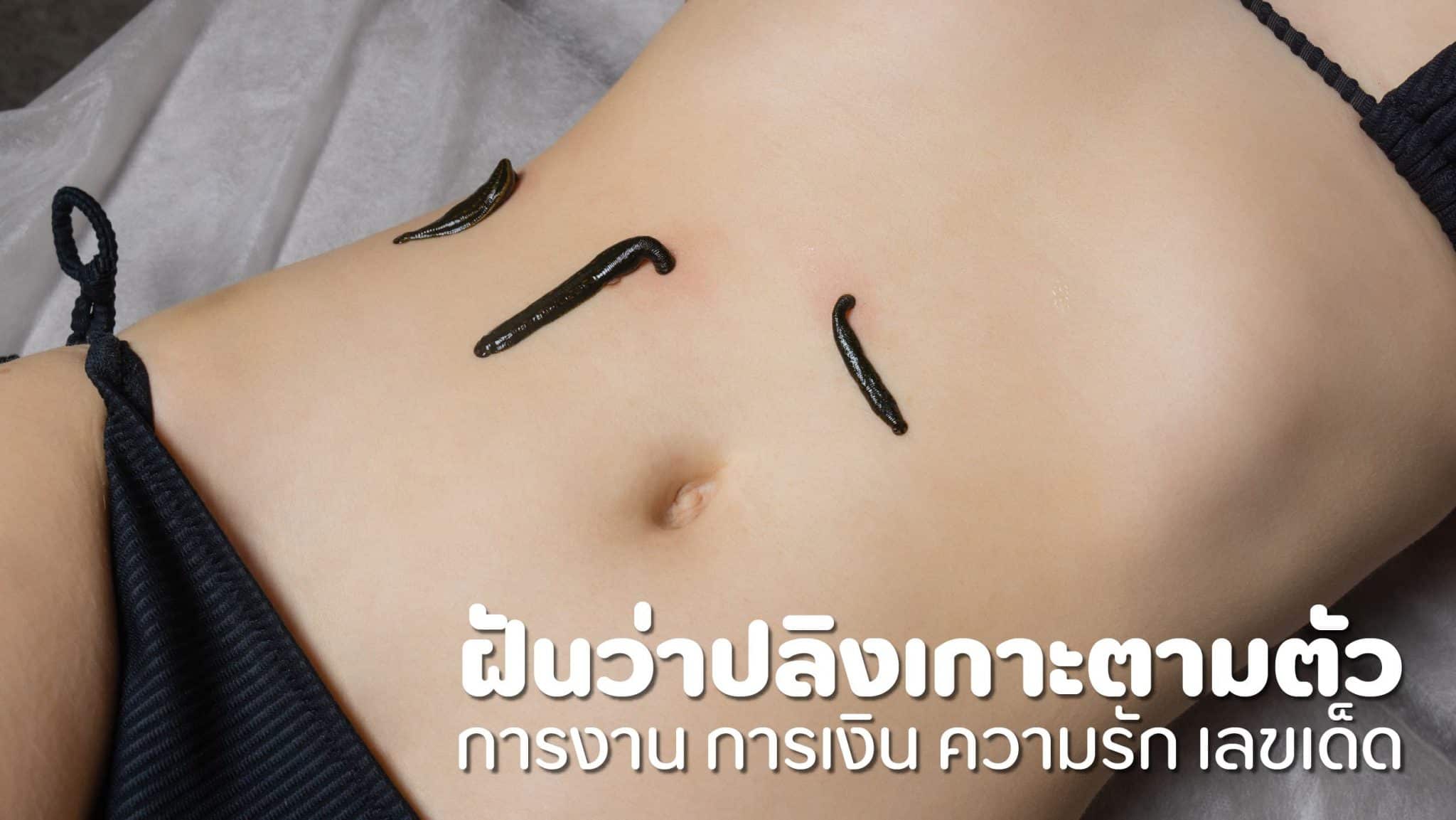 ฝันว่าปลิงเกาะตามตัว