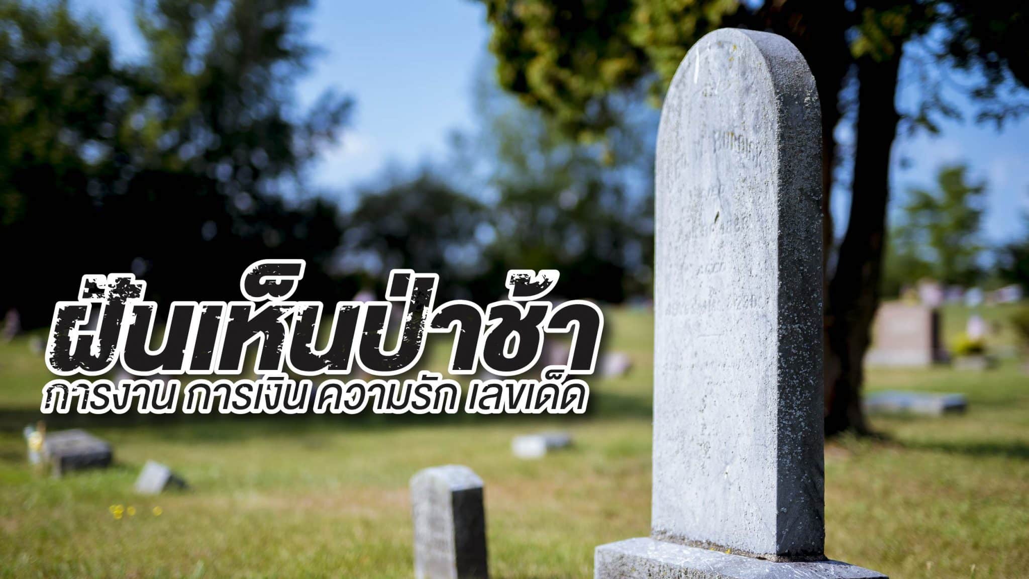 ฝันเห็นป่าช้า