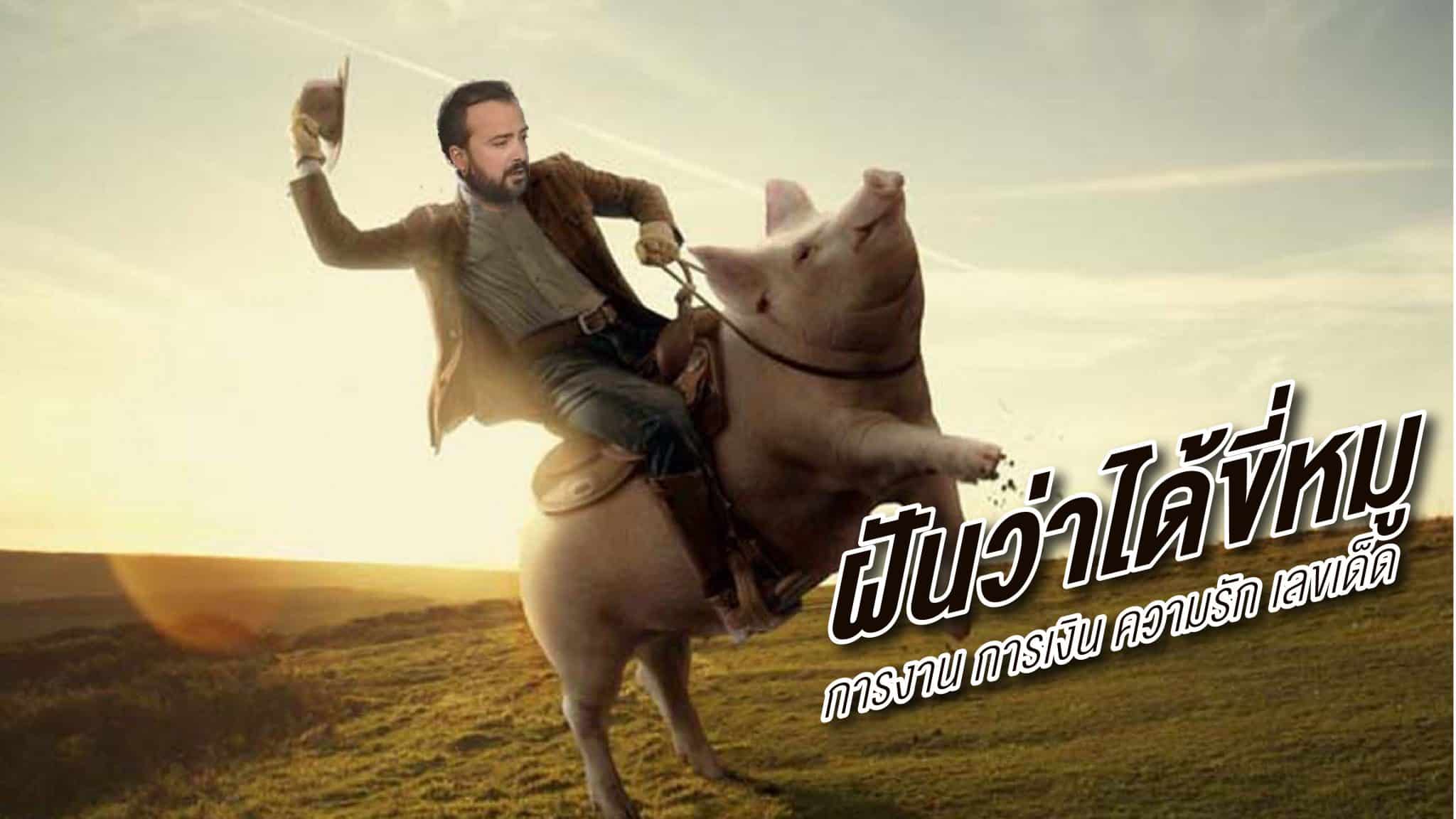 ฝันว่าได้ขี่หมู