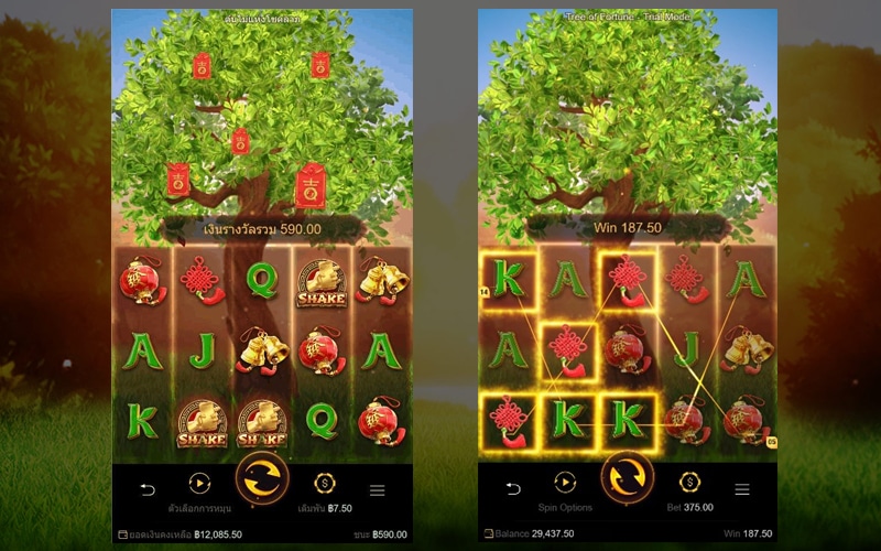 Tree of Fortune รีวิว