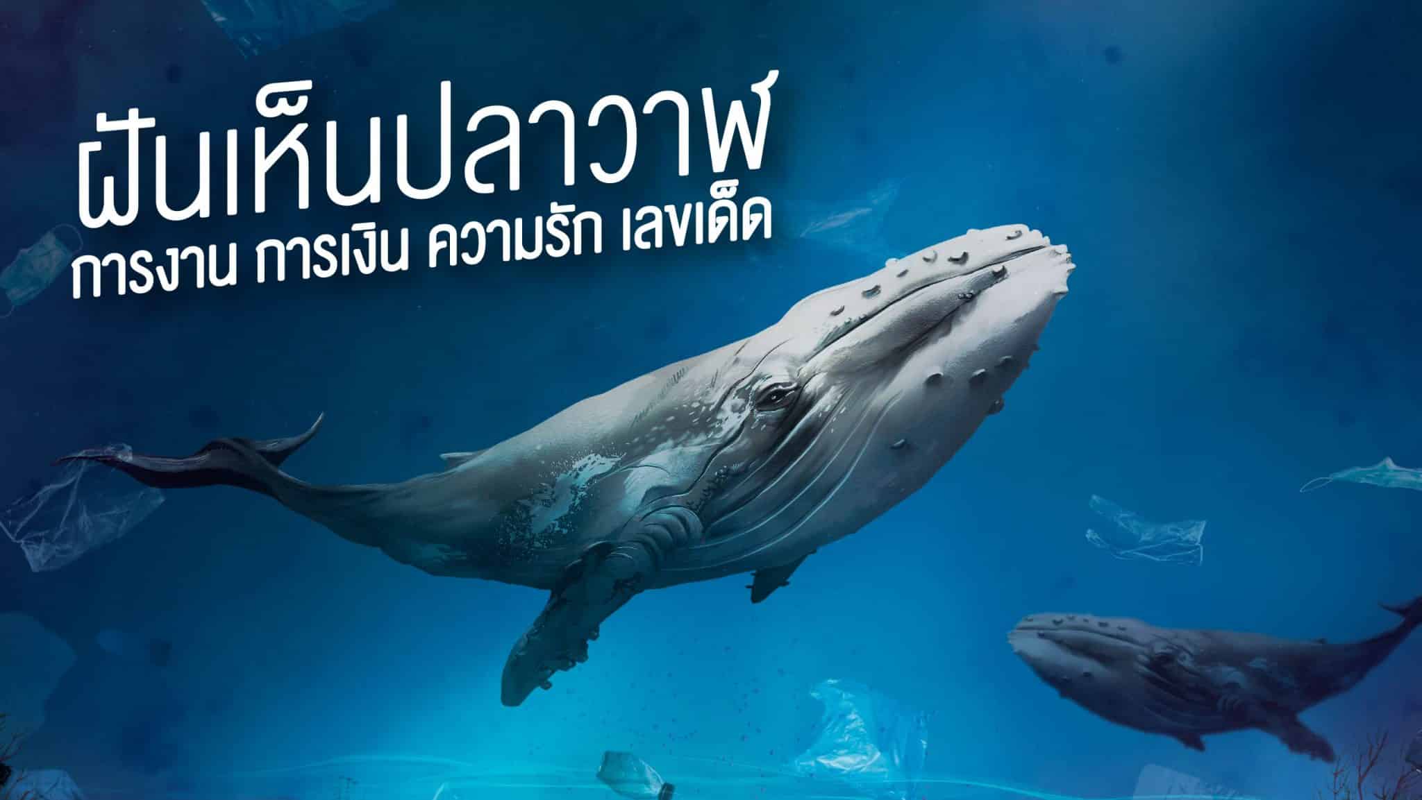 ฝันเห็นปลาวาฬ