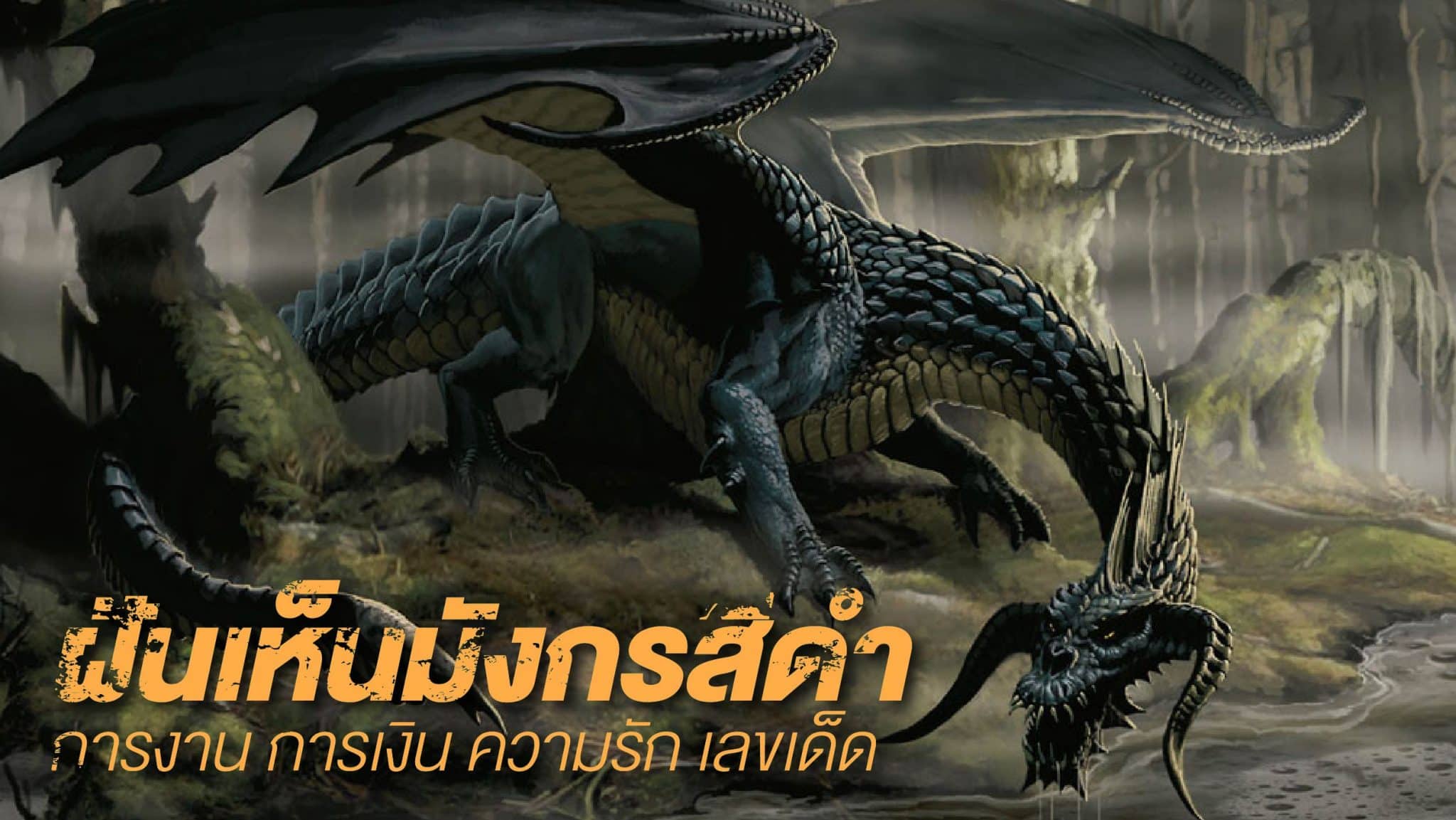 ฝันเห็นมังกรสีดำ