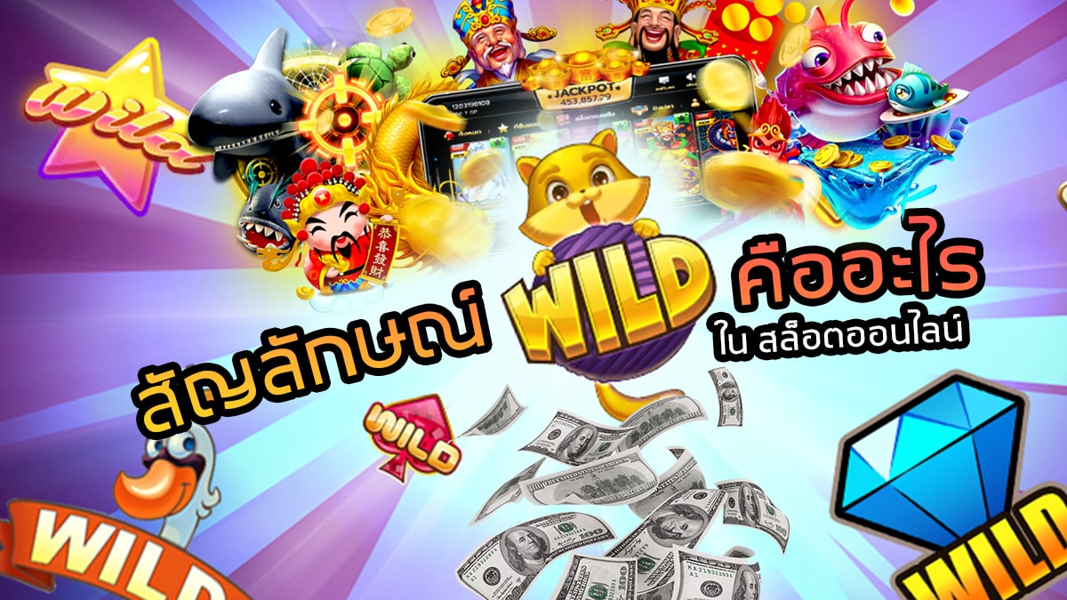 สัญลักษณ์ WILD คืออะไร