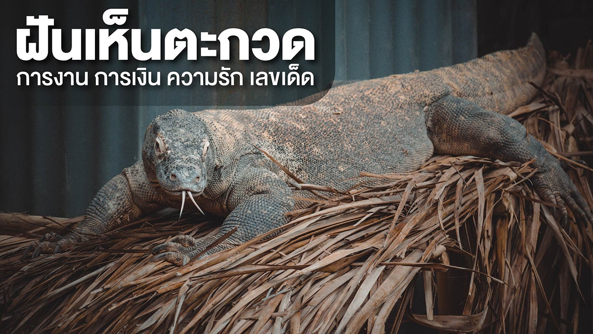 ฝันเห็นตะกวด