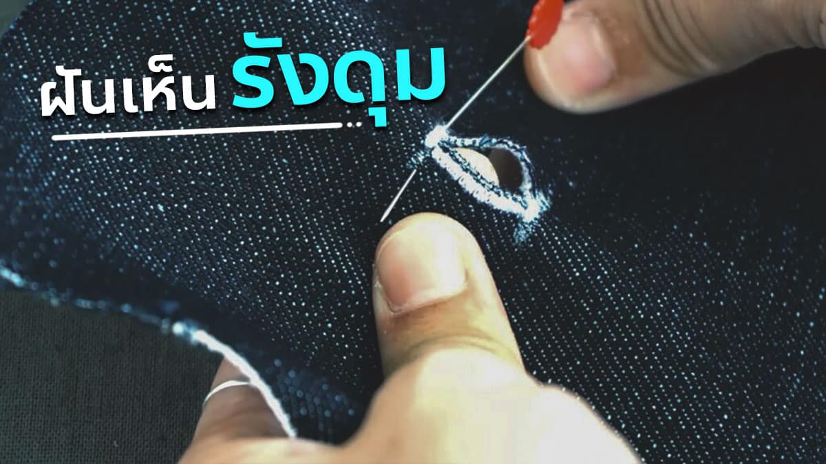 ฝันเห็นรังดุม