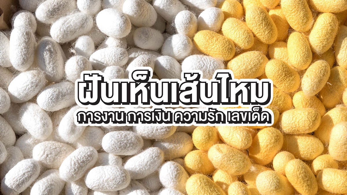 ฝันเห็นเส้นไหม