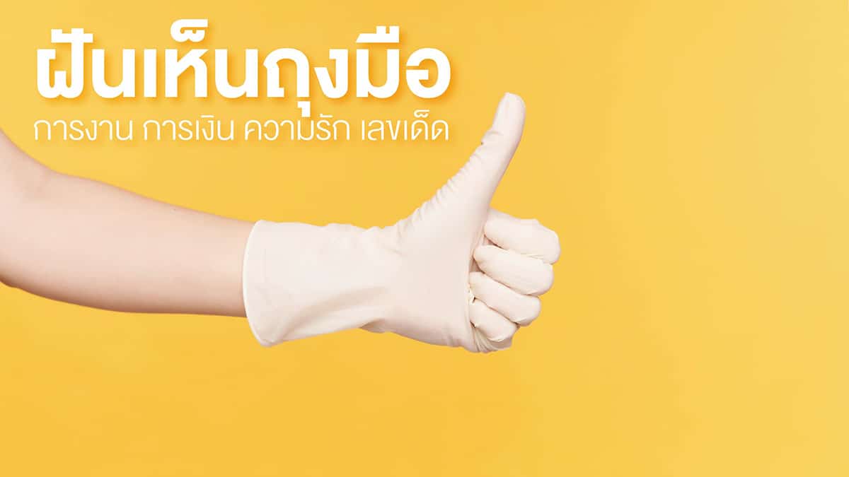 ฝันเห็นถุงมือ
