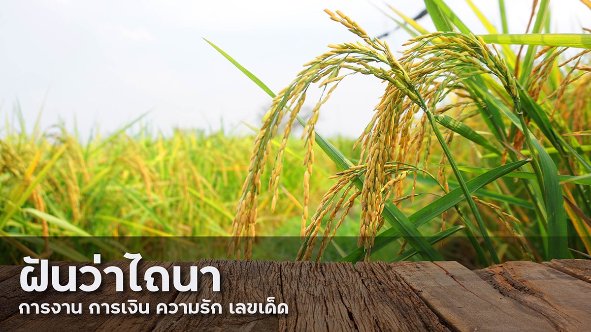 ฝันว่าไถนา