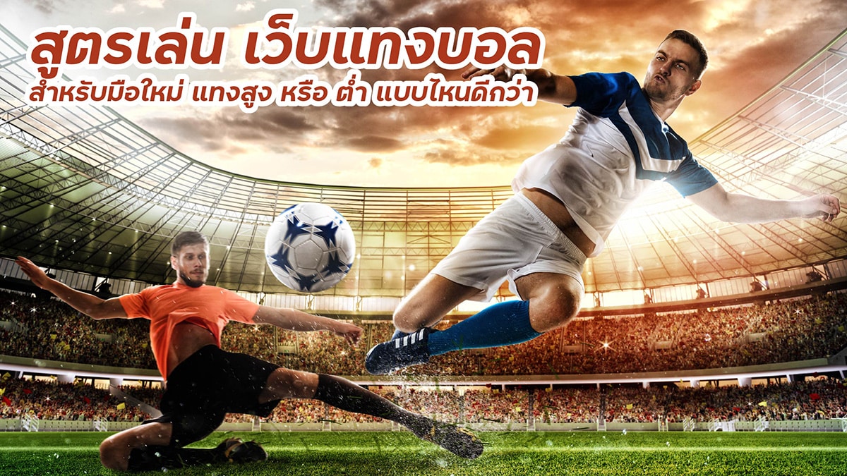 เว็บแทงบอล
