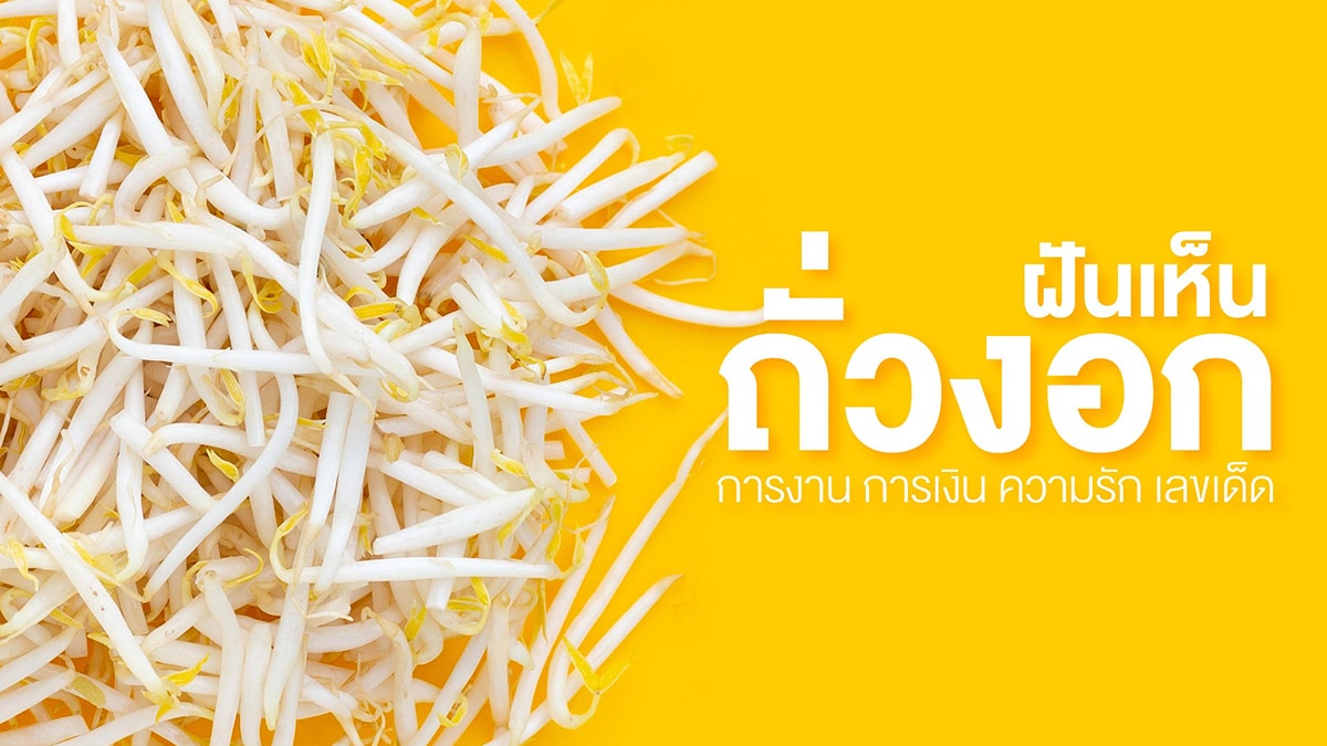 ฝันเห็นถั่วงอก