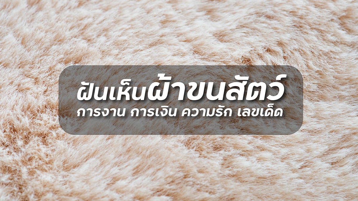 ฝันเห็นผ้าขนสัตว์