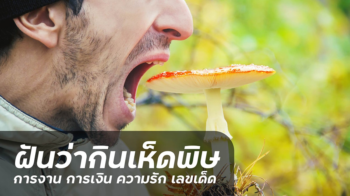 ฝันว่ากินเห็ดพิษ