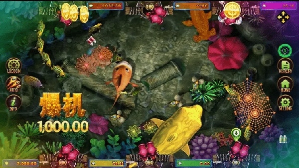 Fish Hunting: Golden Toad