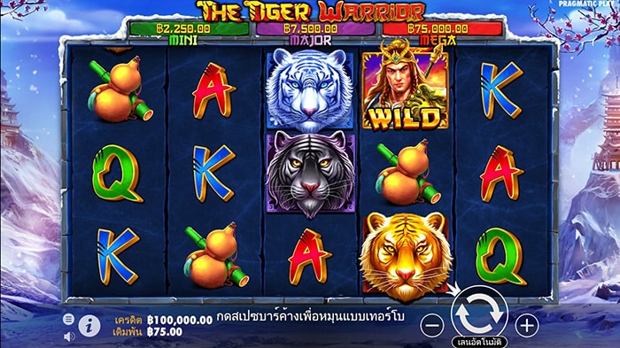 The Tiger Warrior Slot