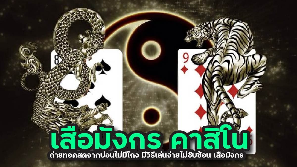 เสือมังกร คาสิโน