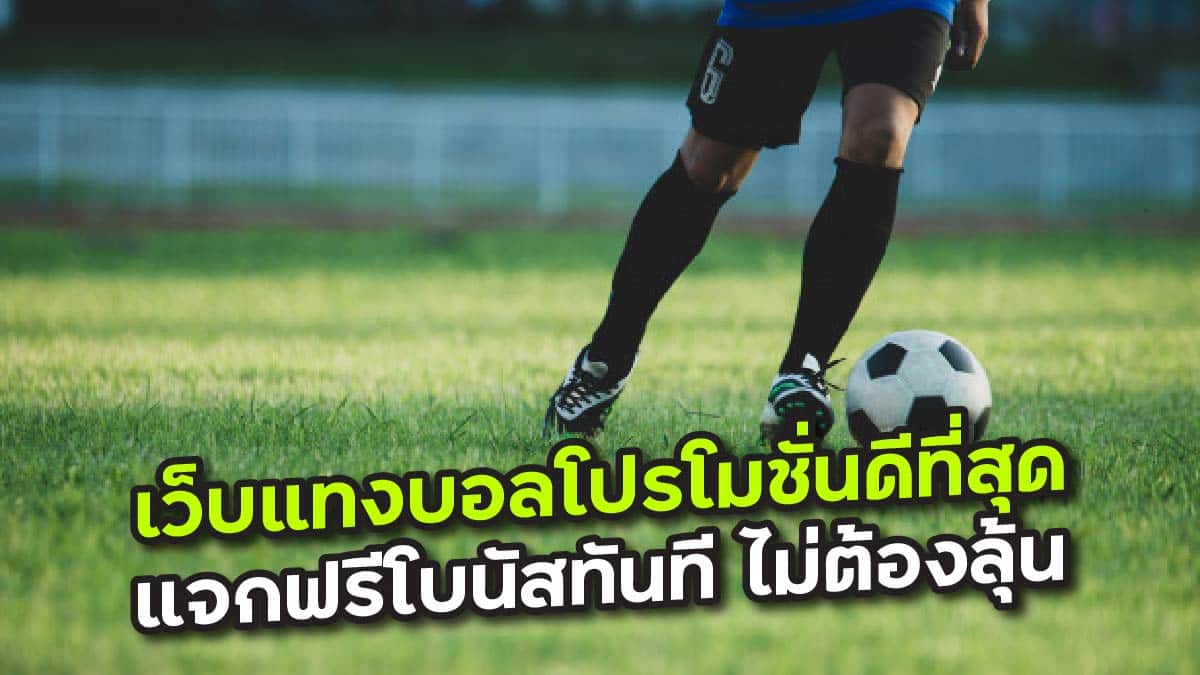 เว็บแทงบอลโปรโมชั่นดีที่สุด